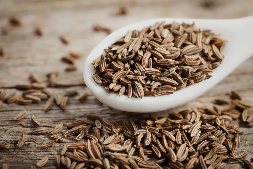 Cumin seeds jeera